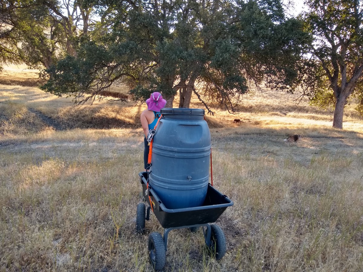 Blooms, Shade and&nbsp;Brawn