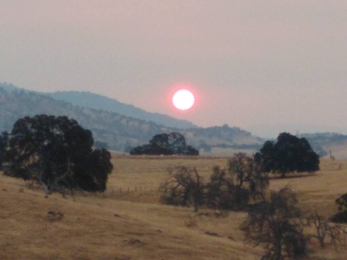 Wildfire, Drought…and Locust?