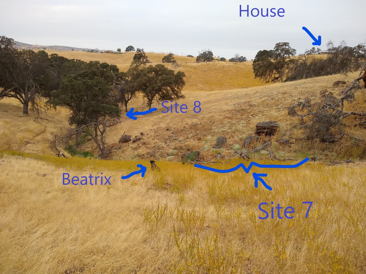 Mistakes. Smoke Inhalation. Cow Pressure. Not a Good&nbsp;Month.