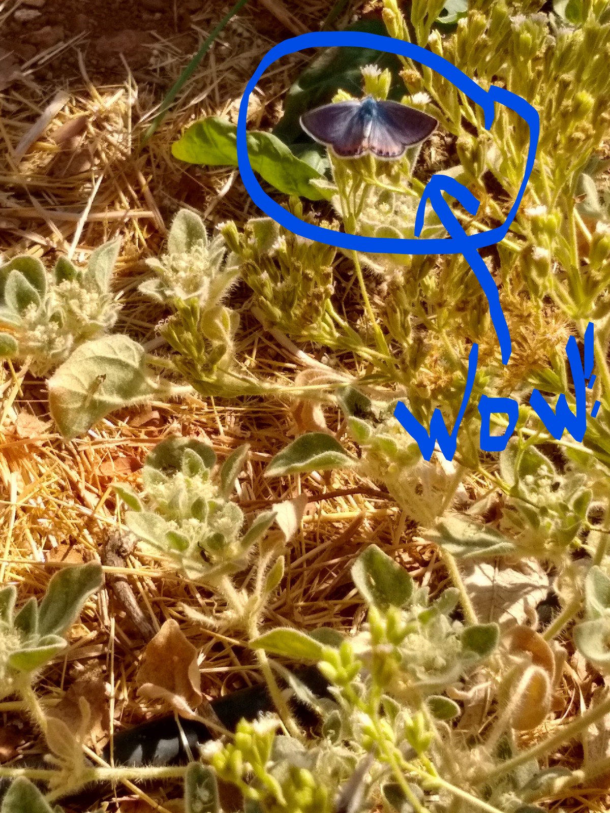 The Smoke Cleared and&nbsp;Then…