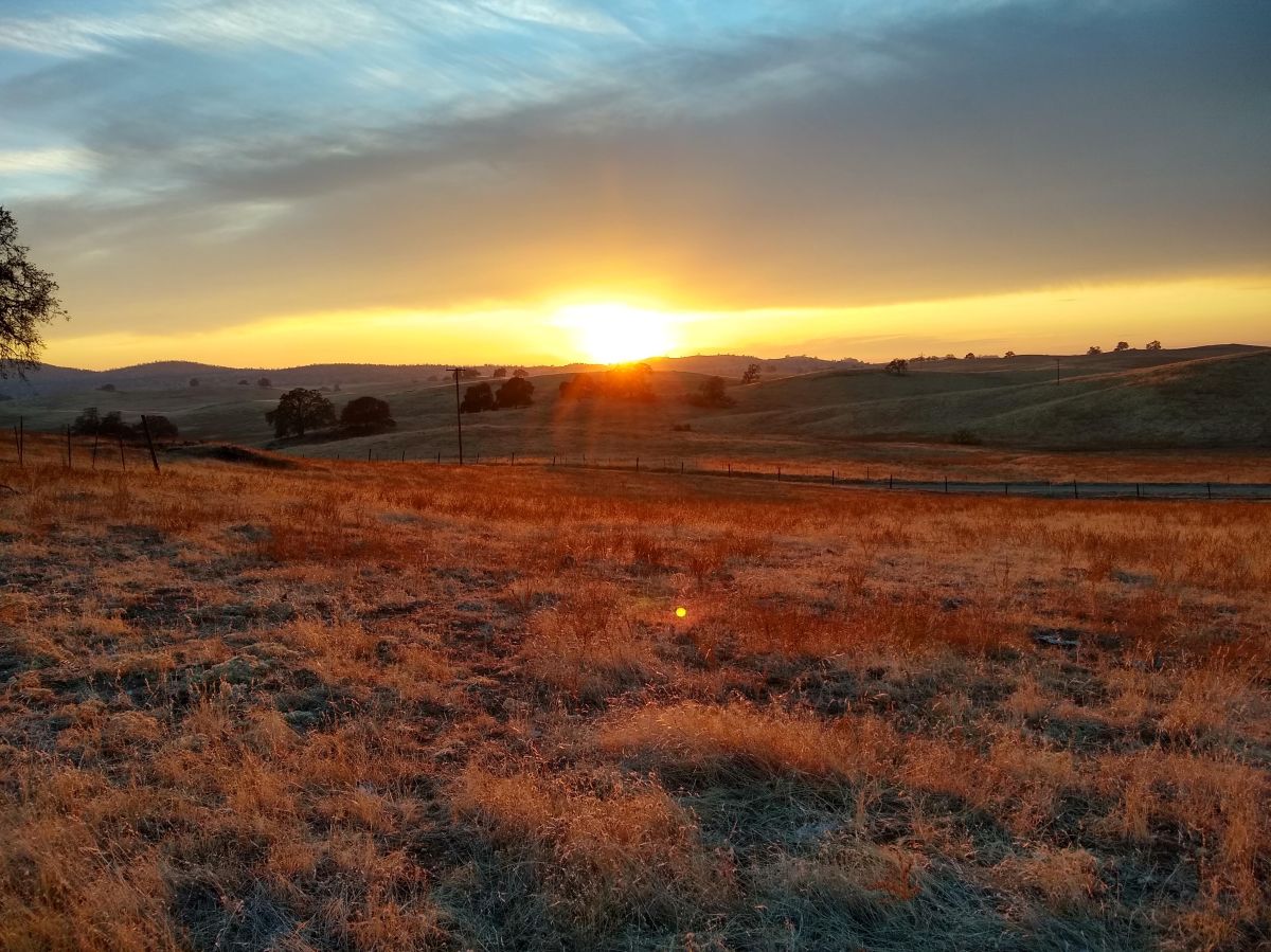Cow Death Requires Pivot and Good Friends Come to the&nbsp;Rescue