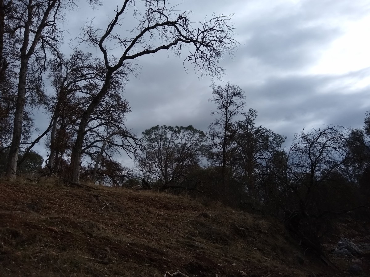 2020 In Review and Looking&nbsp;Forward