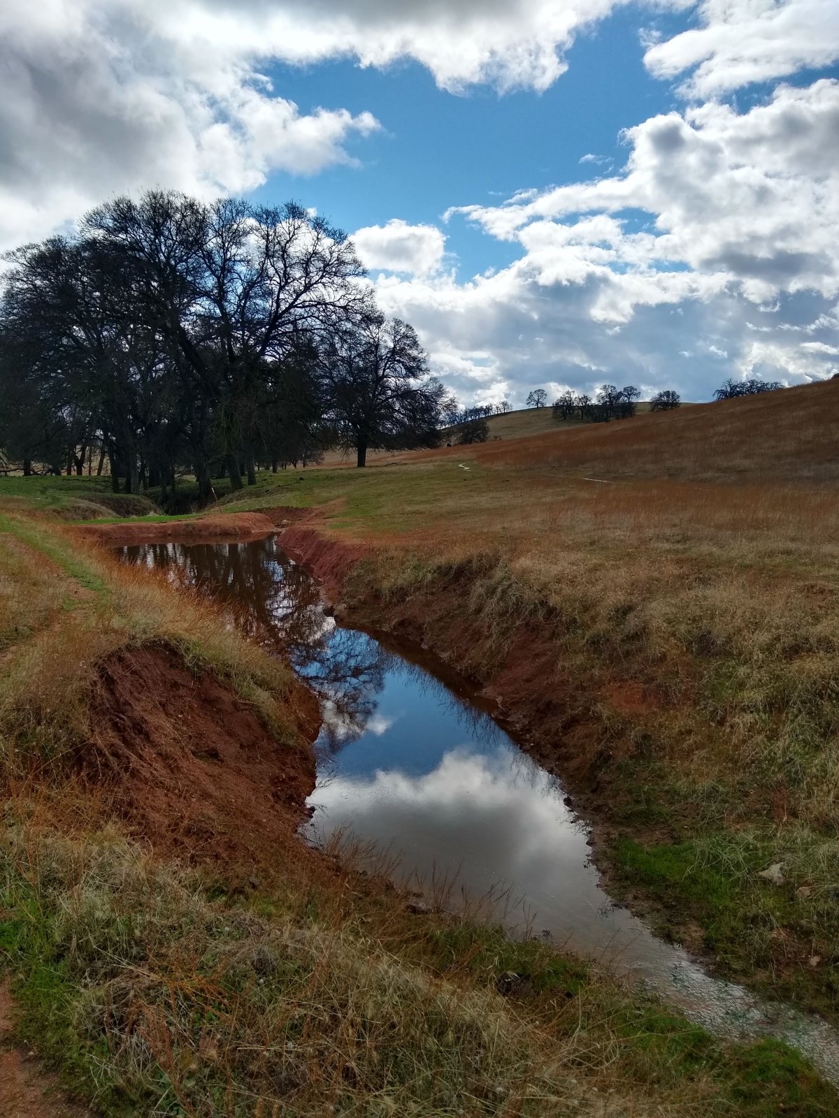 Rain Comes – More&nbsp;Needed