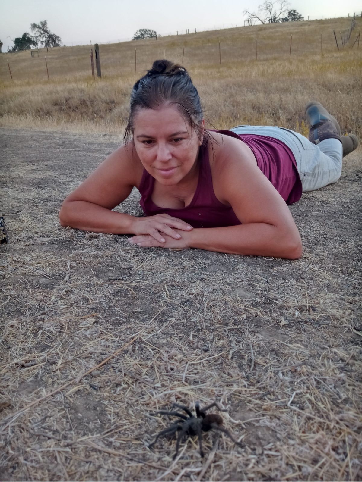 Fall Can’t Come Soon Enough and A Monarch Sighting in&nbsp;Hornitos!