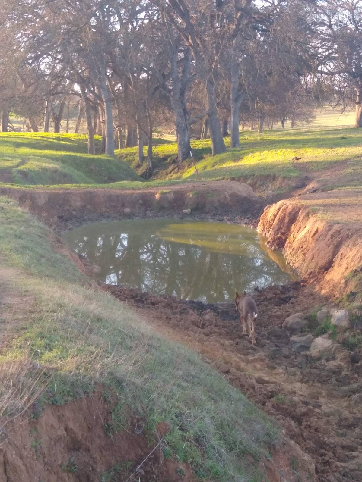 Drought Heavy On My Mind. Monarchs on Their&nbsp;Way