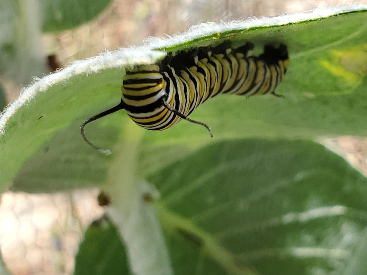 Falling In Love Over&nbsp;50