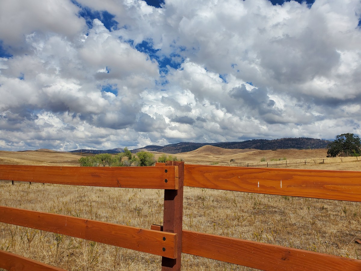 Climate, Heat and Wildfire Smoke = Change for&nbsp;Pollinators