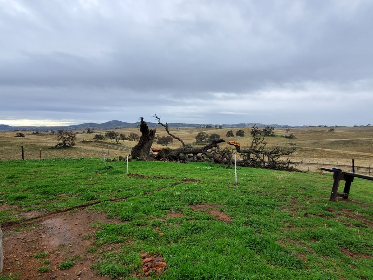 Tragedy Strikes as Major Storm Rolls&nbsp;Through