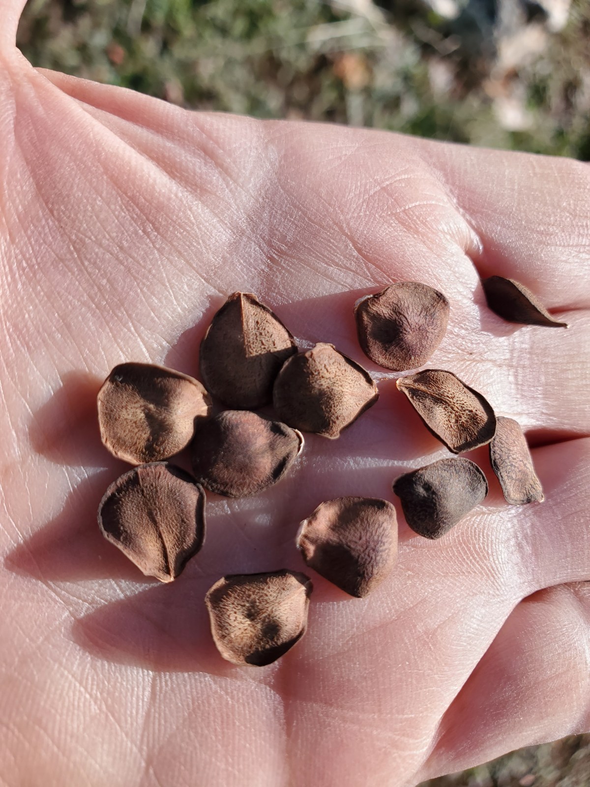 Planting Seeds for the&nbsp;Future