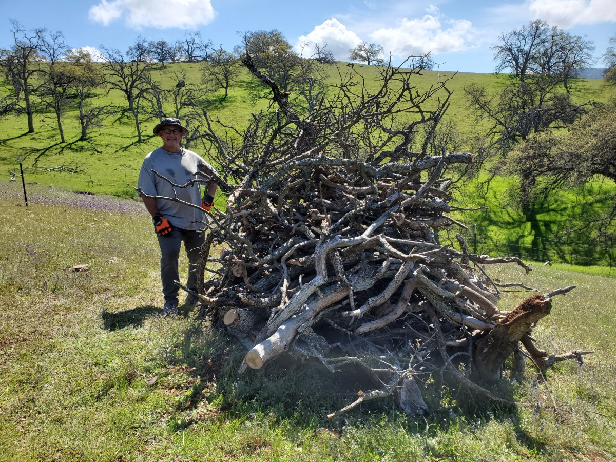 Habitat Not Just for&nbsp;Monarchs