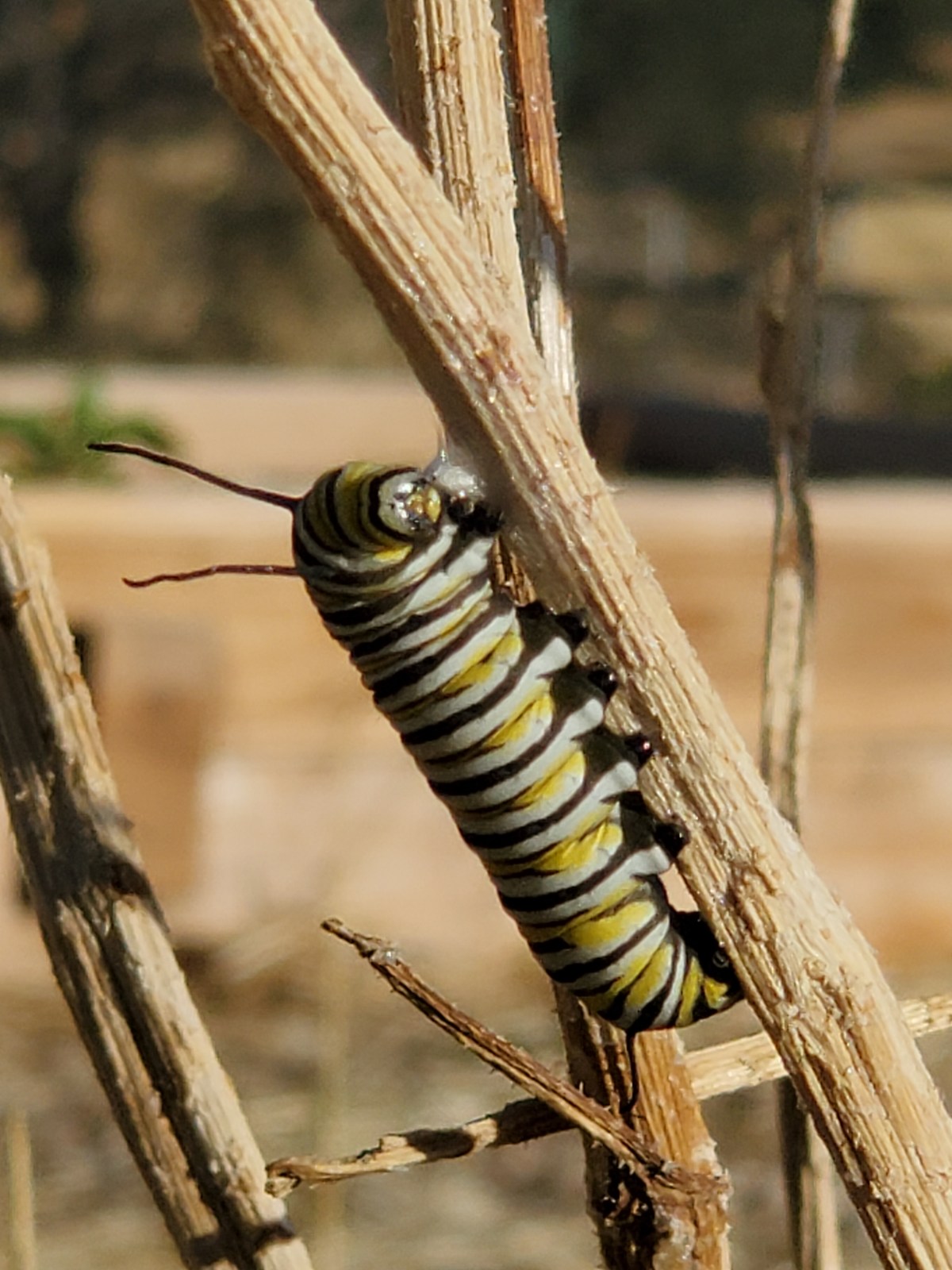 Endings and Beginnings