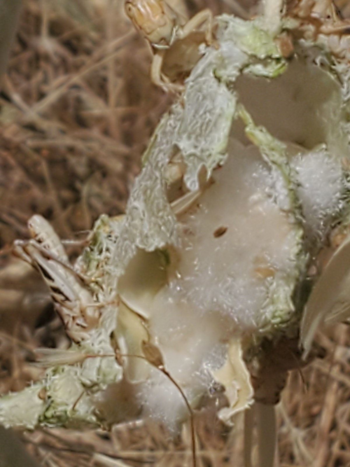 Another Race Against&nbsp;Time